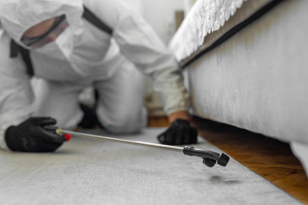Professional Termite Control technician working in Walters, OK