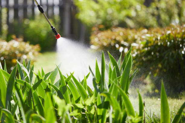 24/7 Emergency Termite Control experts in Walters, OK